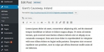 Responsive Grid Quick View Posts for WordPress Screenshot 3