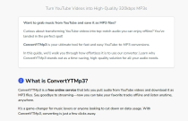 YTMP3 Converter Pro – Self-Hosted YouTube to MP3 Screenshot 4