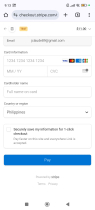 Stripe Payment Form Screenshot 9